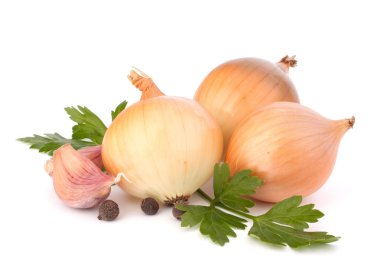 Onion and garlic clove