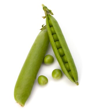 taze yeşil bezelye