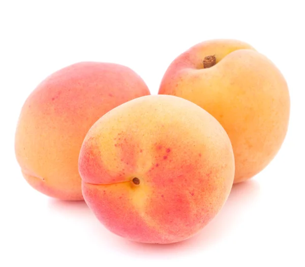 Mogen Aprikossoppa frukt — Stockfoto
