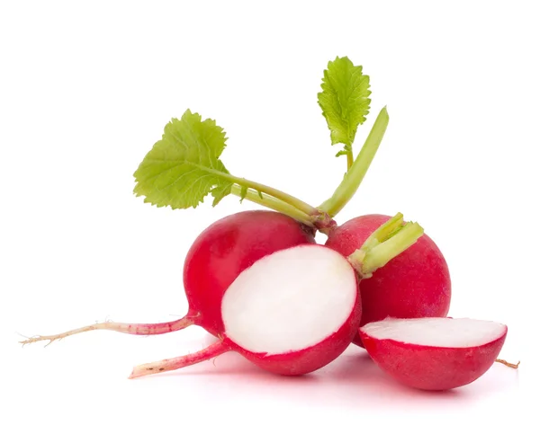 Small garden radish — Stock Photo, Image