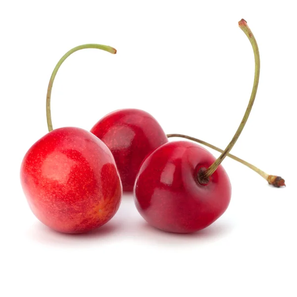 Cherry — Stok Foto