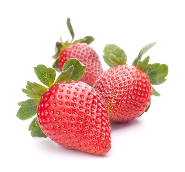 Strawberry — Stock Photo, Image