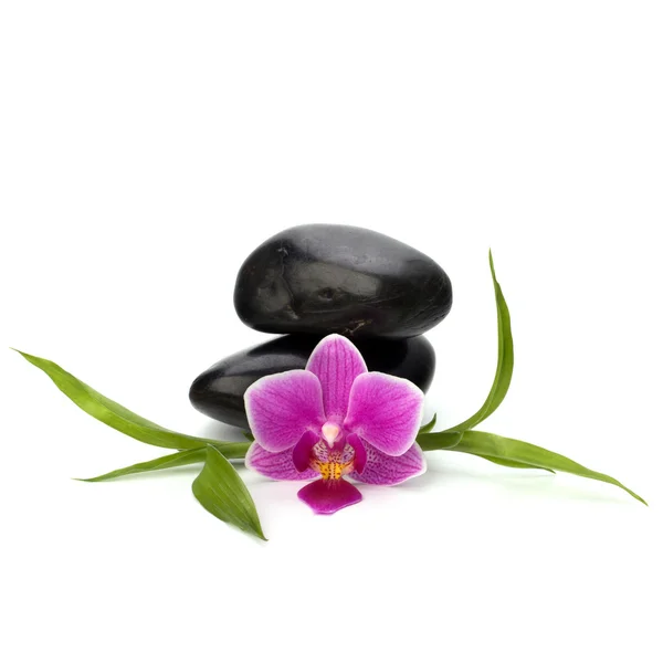 Balanza de guijarros zen. Spa y concepto de salud . —  Fotos de Stock