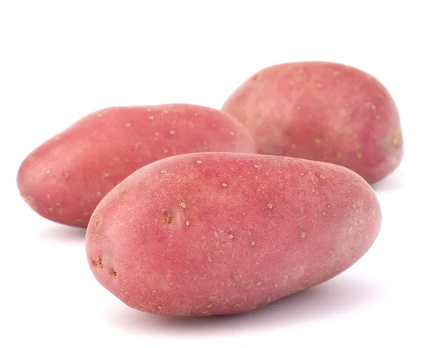 Ny potatis knölen heap — Stockfoto