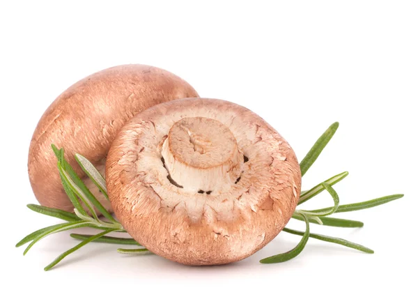 Kahverengi champignon mantar ve biberiye yaprakları — Stok fotoğraf