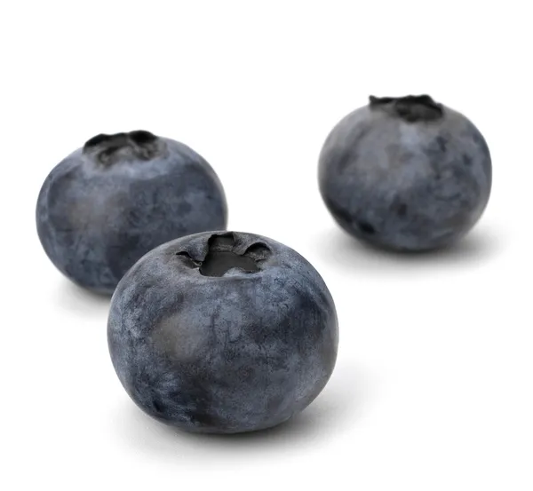 Bilberries or whortleberries cutout — Stock Photo, Image