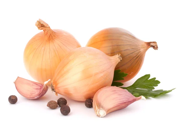 Onion and garlic clove — Stockfoto