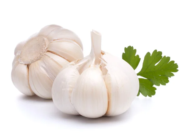 Garlic bulb — Stock Photo, Image