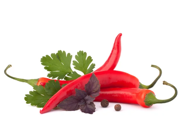 Scharfe rote Chili- oder Chilischote und aromatische Kräuterblätter noch l — Stockfoto