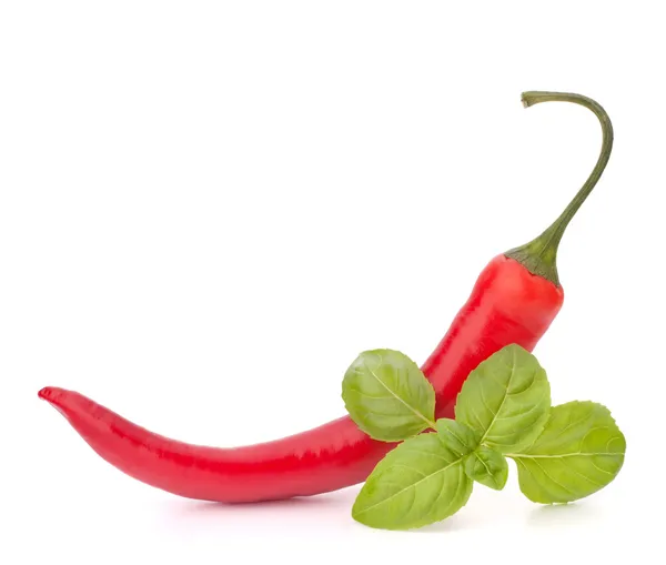 Hot red chili or chilli pepper and basil leaves still life — Stock Photo, Image