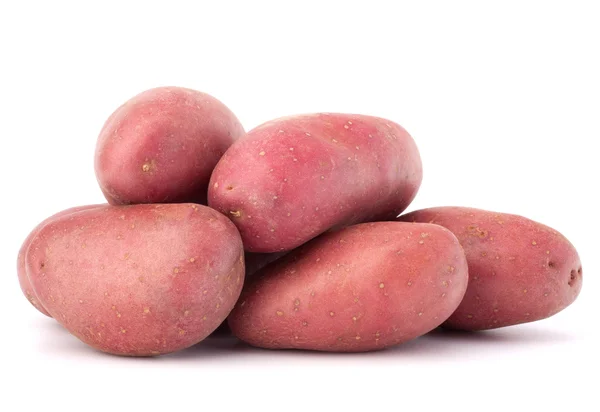 Neuer Kartoffelknollenhaufen — Stockfoto