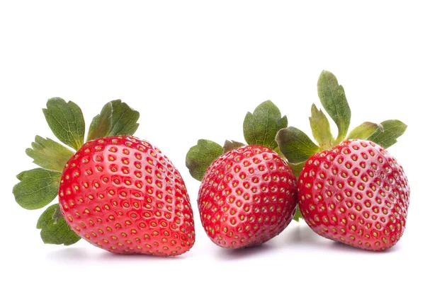 Strawberry — Stock Photo, Image