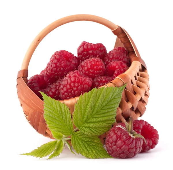 Ripe raspberries in basket — Stock Photo, Image