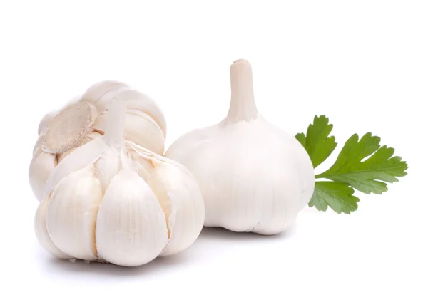 Garlic bulb — Stock Photo, Image