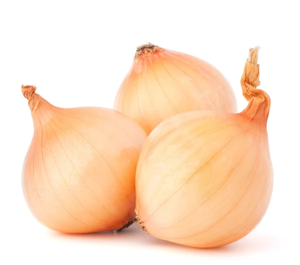 Onion vegetable bulbs — Stock Photo, Image