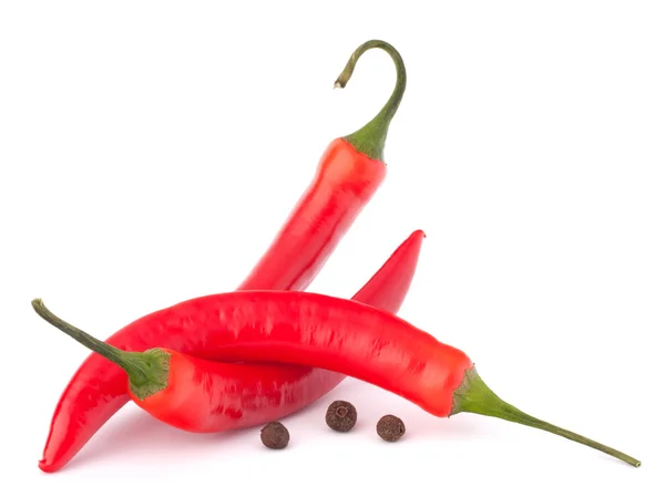 Hot red chili or chilli pepper still life — Stock Photo, Image