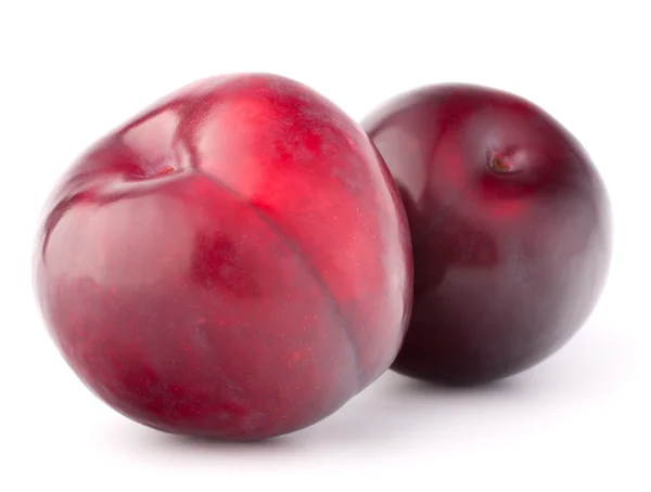 Ripe plum fruit — Stock Photo, Image