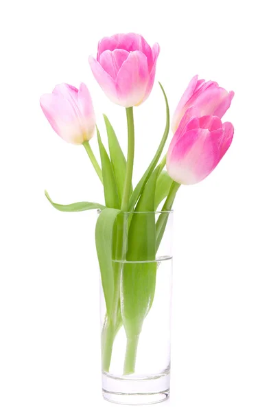 Buquê de tulipas rosa em vaso isolado no fundo branco — Fotografia de Stock