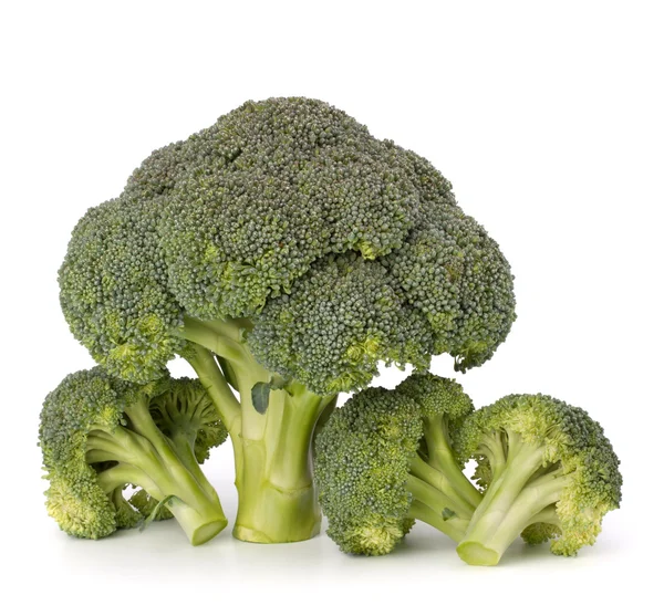 Broccoli vegetable — Stock Photo, Image