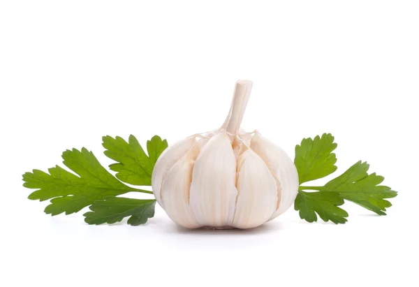 Garlic bulb — Stock Photo, Image