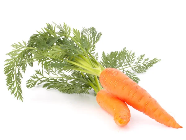 Морквяний овоч з листям — стокове фото