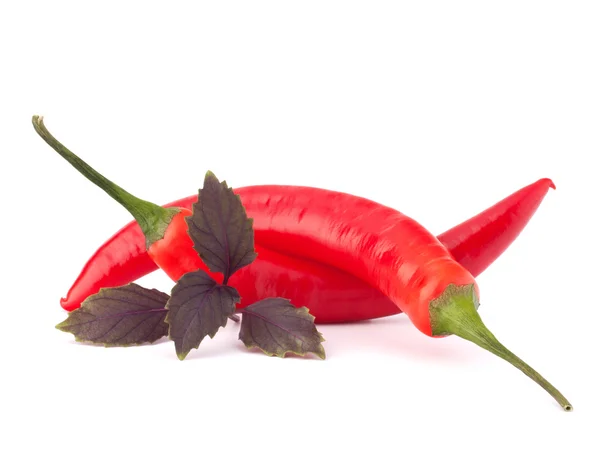 Varm röd chili eller Chili peppar och basilika blad stilleben — Stockfoto