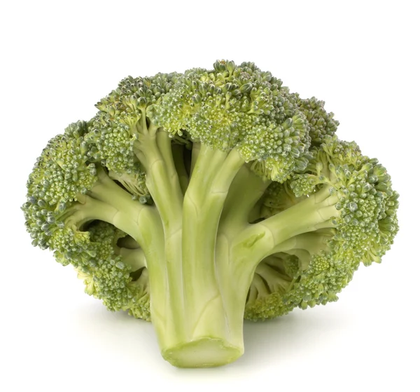 Broccoli vegetabiliska — Stockfoto