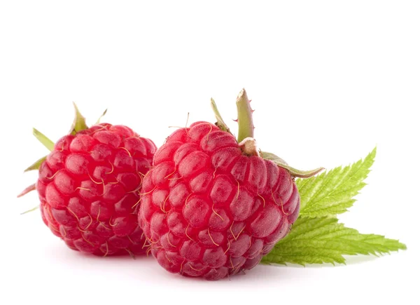 Reife Himbeeren — Stockfoto