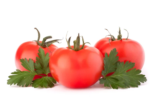 Tre verdure di pomodoro e foglie di prezzemolo nature morte — Foto Stock