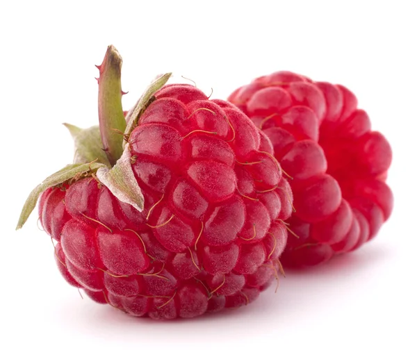 Reife Himbeeren — Stockfoto