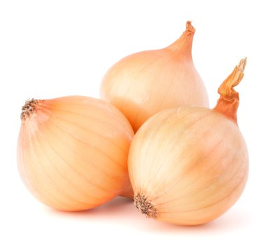 soğan sebze çiçek soğanı