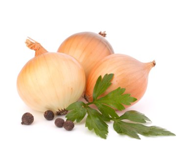 Onion and garlic clove