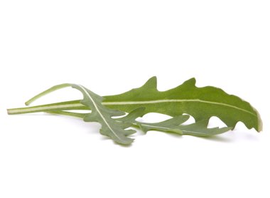 tatlı rucola salata veya roket marul yaprakları