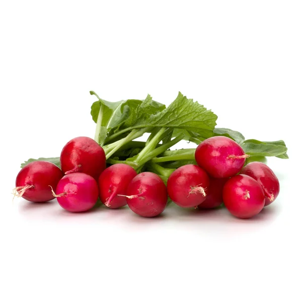 Small garden radish — Stock Photo, Image