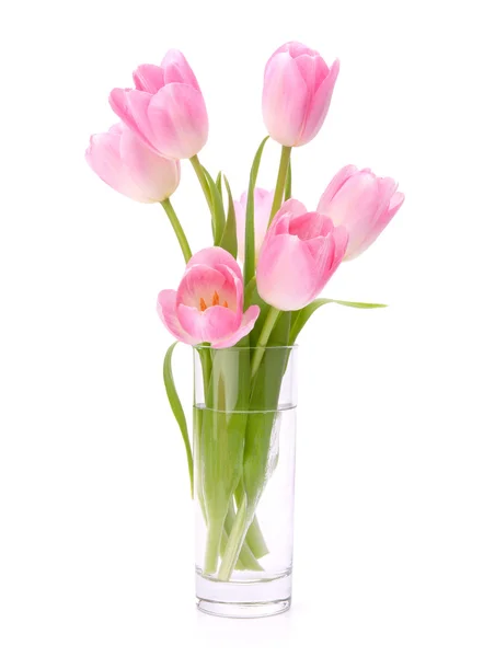 Roze tulpen boeket in vaas geïsoleerd op witte achtergrond — Stockfoto
