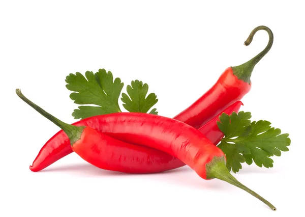 Hot red chili or chilli pepper and parsley leaves still life — Stock Photo, Image