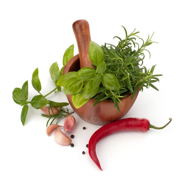 Fresh flavoring herbs and spices in wooden mortar — Stock Photo, Image