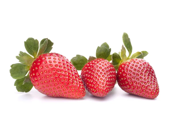 Strawberry — Stok Foto