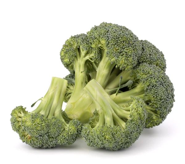 Broccoli vegetabiliska — Stockfoto