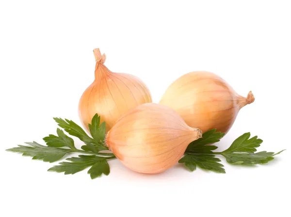 Onion — Stock Photo, Image