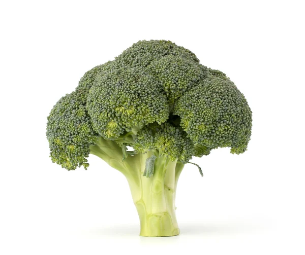 Broccoli vegetabiliska — Stockfoto