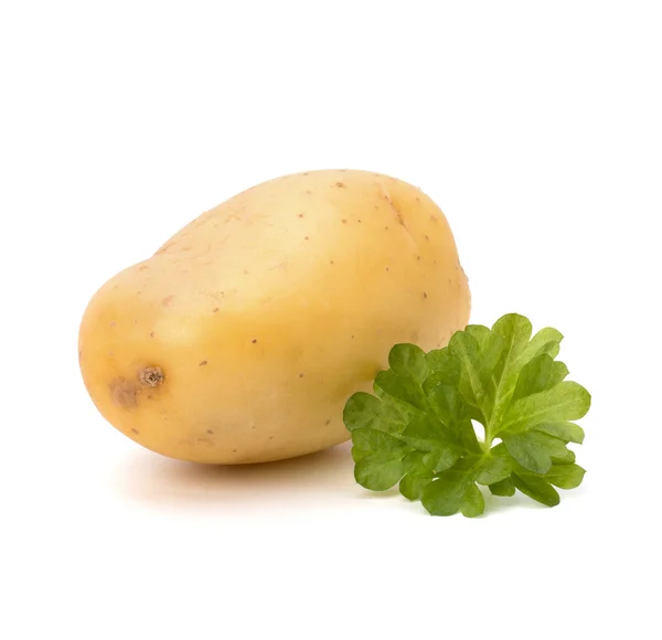 Nya potatis och grön persilja — Stockfoto