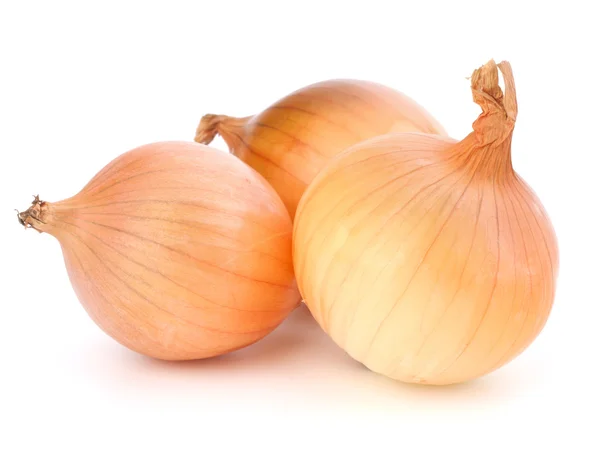 Onion — Stock Photo, Image