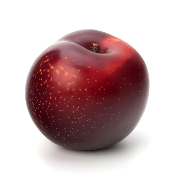 赤い梅の果実 — ストック写真