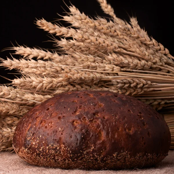 Loaf of bread and rye ears still life — Stock Photo, Image