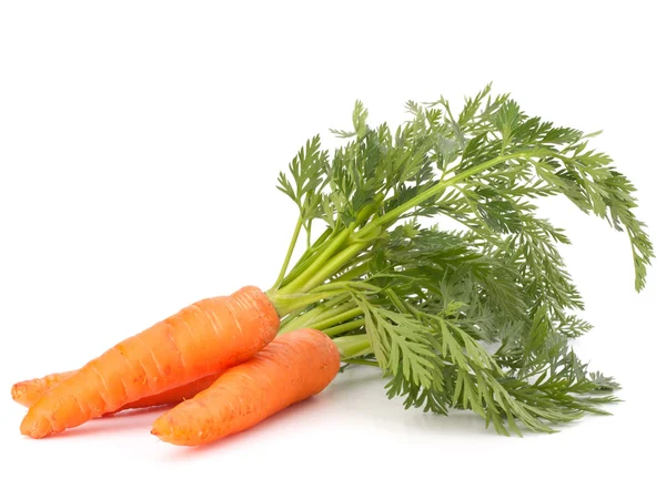 Carrot vegetable with leaves — Stock Photo, Image