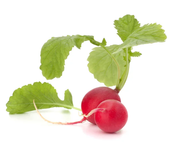 Small garden radish with leaves — Stock Photo, Image