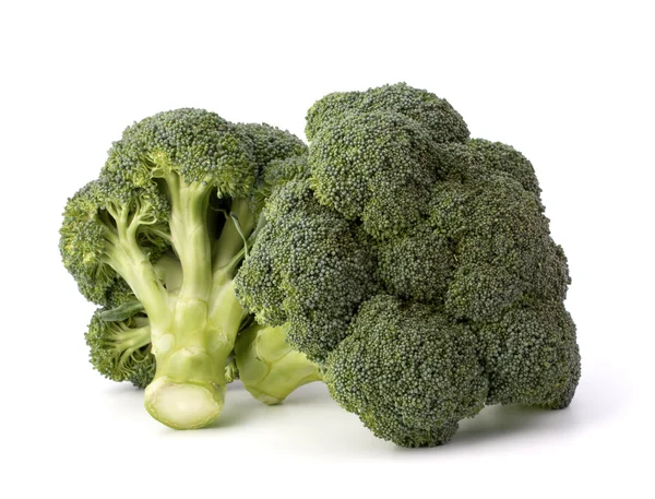 Broccoli vegetabiliska — Stockfoto