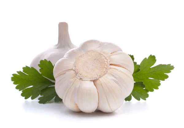 Garlic bulb — Stock Photo, Image