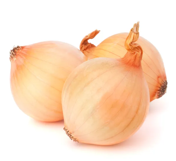 Onion vegetable bulbs — Stock Photo, Image